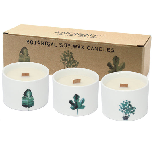 Med Botanical Candles - Japanese Garden