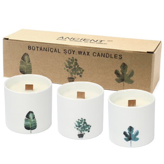 Large Botanical Candles - Wild Jasmine